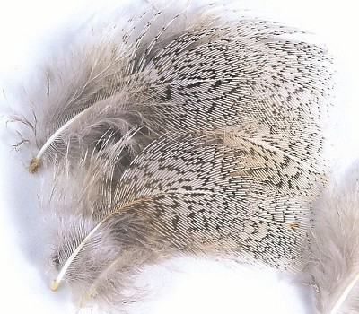 Grau English Partridge Federn groß Federn 1 Gramm Packung 