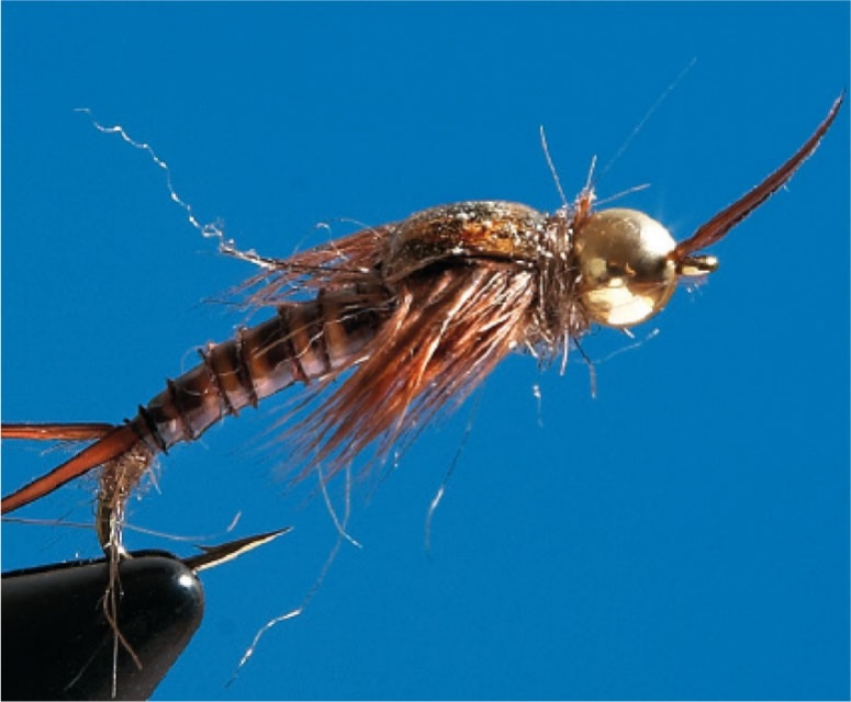 Tungsten Stonefly, #8