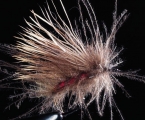 CDC Buck Caddis, rot, #15